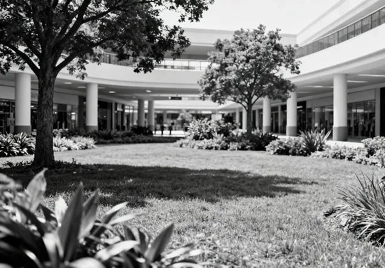 Outdoor Plaza